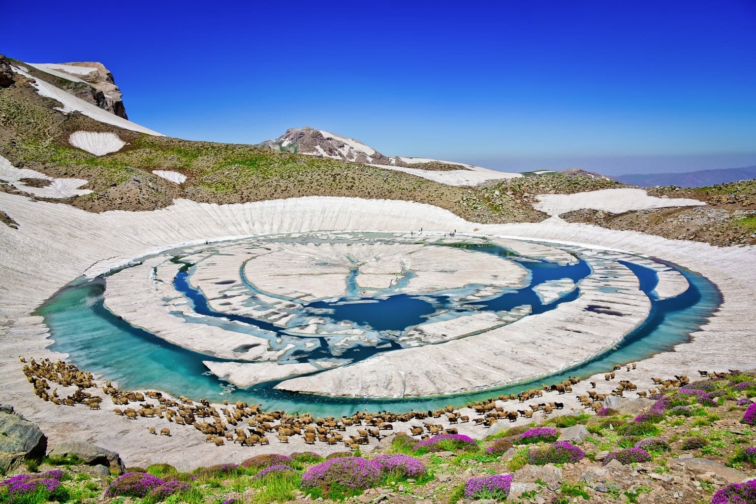 Bekodyan Pond Trek