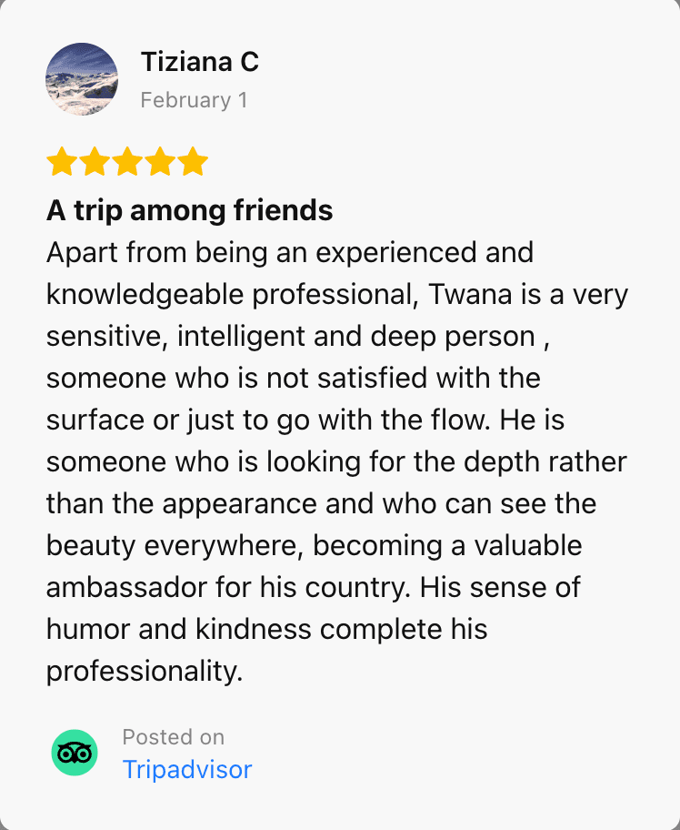 TripAdvisor Review 4