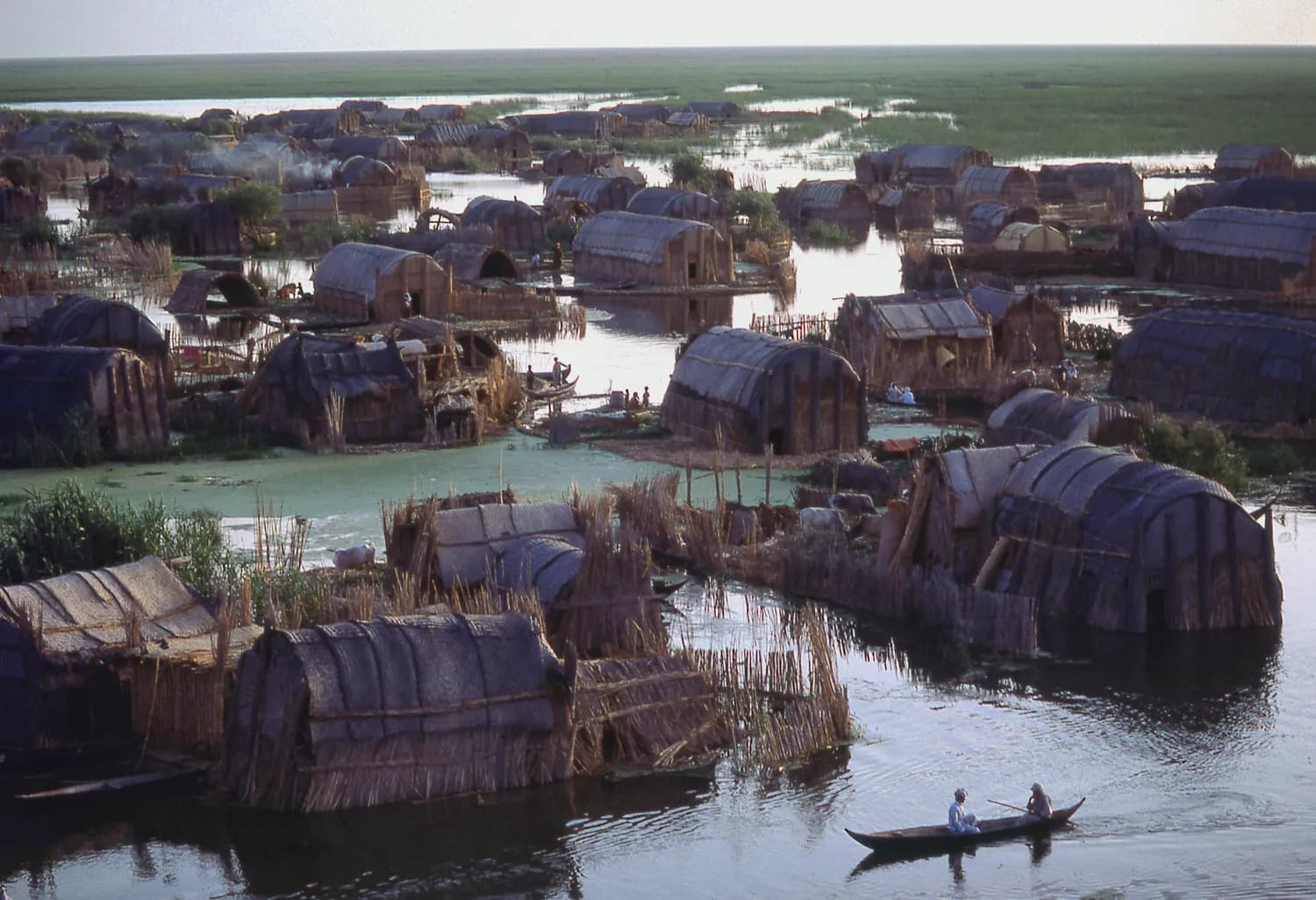 The Mesopotamian Marshes